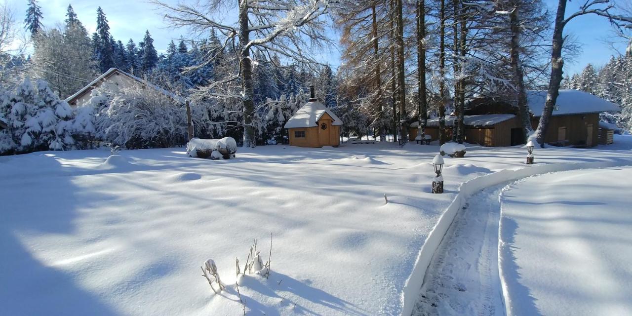 Chalet De Martimprey - Chalets - Gites - Chambres D' Hotes Et Spas Gérardmer Екстериор снимка