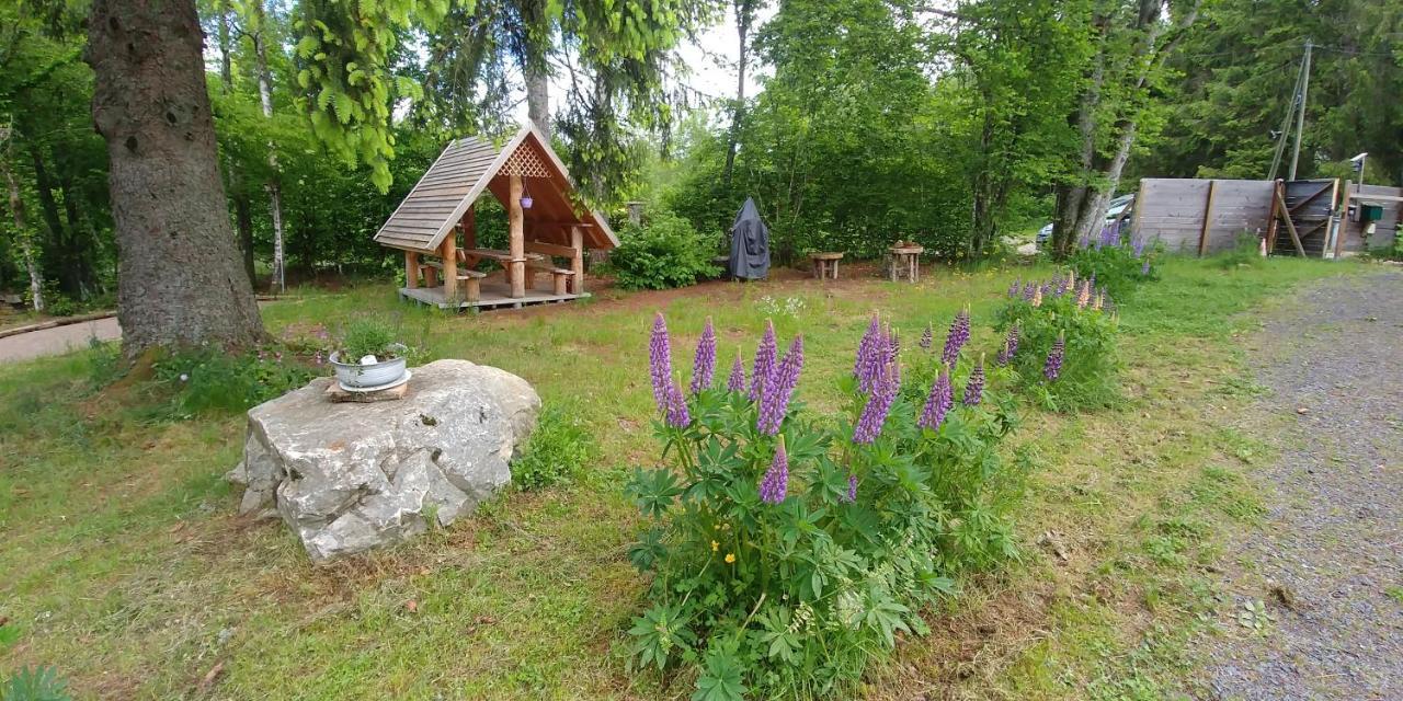 Chalet De Martimprey - Chalets - Gites - Chambres D' Hotes Et Spas Gérardmer Екстериор снимка